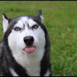 Meet your Posher, Tessa