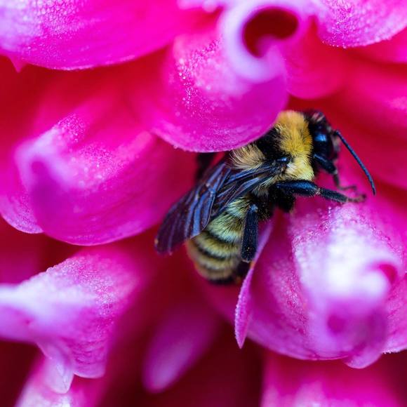 Meet your Posher, Sue