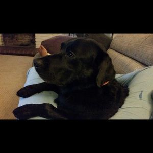 Meet your Posher, Patricia