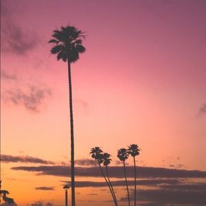 Meet your Posher, Leilani