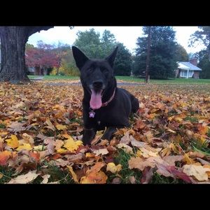 Meet your Posher, Annette