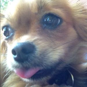 Meet your Posher, Sara