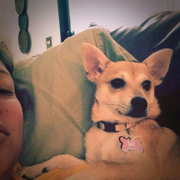 Meet your Posher, Lulu - Picture 2 of 6