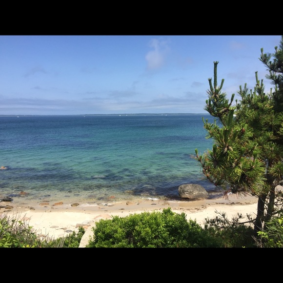 Meet your Posher, Maia