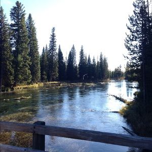 Meet your Posher, Janey