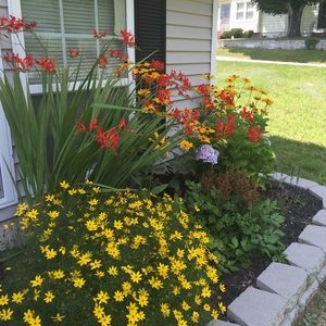 Meet your Posher, Pat