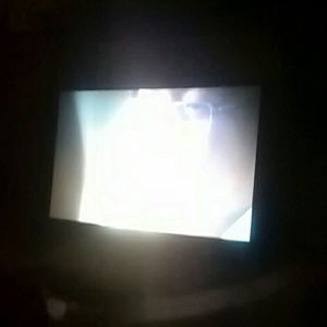 Meet your Posher, Leilani