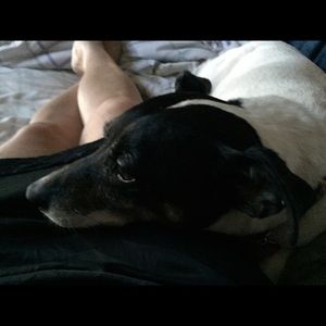 Meet your Posher, Jen