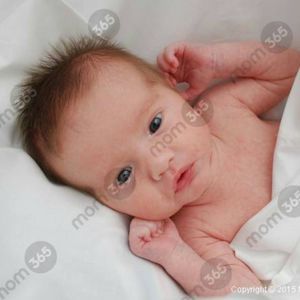 Meet your Posher, Carla