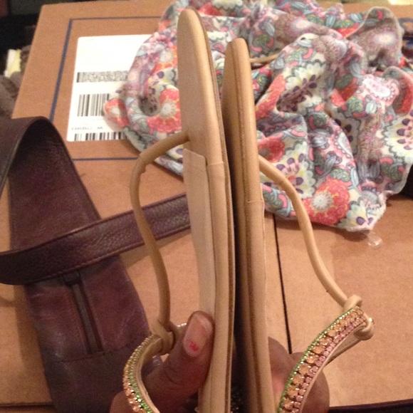 Zara - Picture 2 of 3