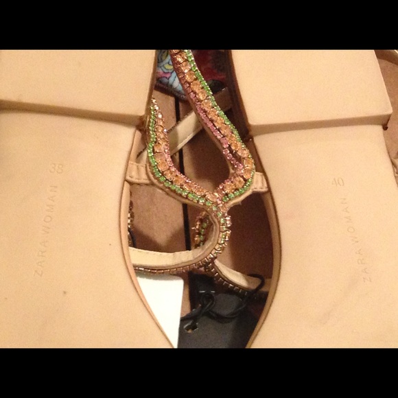 Zara - Picture 3 of 3