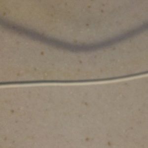 Meet your Posher, Ahmed