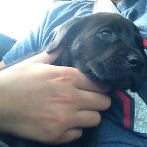 Meet your Posher, Ben