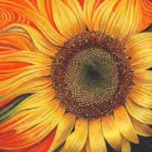 Meet your Posher, Nhu