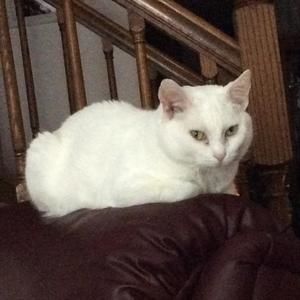 Meet your Posher, Sally