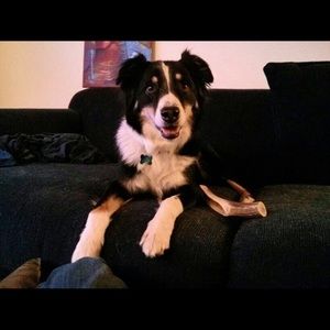 Meet your Posher, Leah