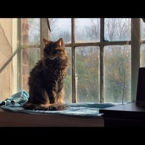 Meet your Posher, Kathryn