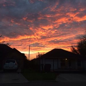 Meet your Posher, Precious