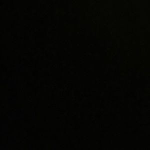 Meet your Posher, Laurel