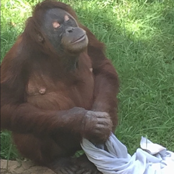 Meet your Posher, Jessica - Picture 1 of 1