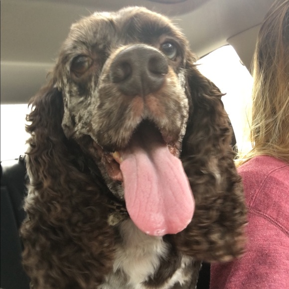 ⚓️Meet your posher🎀👑 - Picture 4 of 4