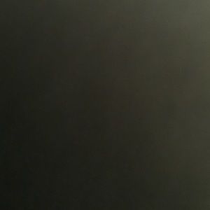 Meet your Posher, Tan