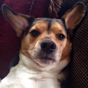 Meet your Posher, Ciara