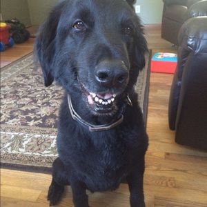 Meet your Posher, Karen