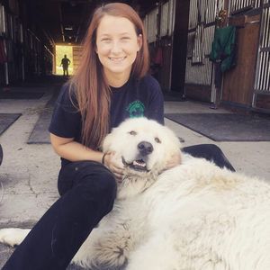 Meet your Posher, Mary