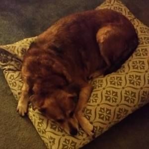 Meet your Posher, Pam