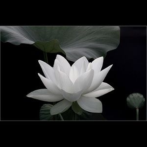 Meet your Posher, Janelle