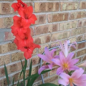 Meet your Posher, Roshni