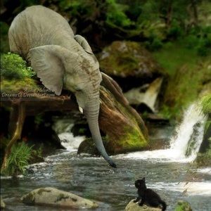 Meet your Posher, Divya