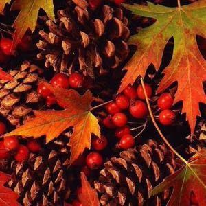 Meet your Posher, Tammi