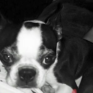 Meet your Posher, Beth