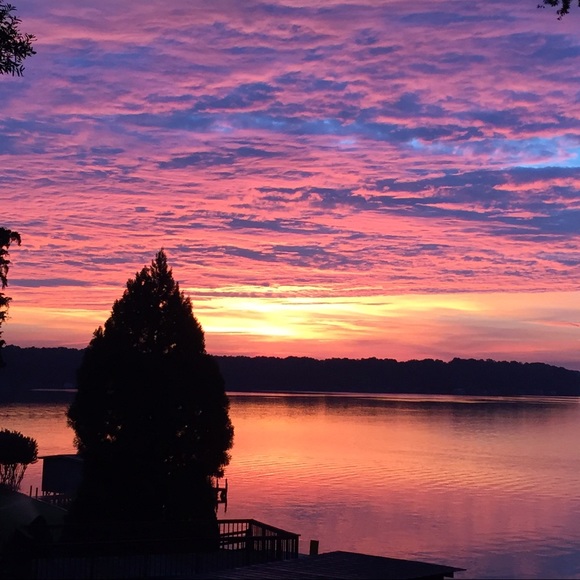 Meet your Posher, Amy - Picture 3 of 4