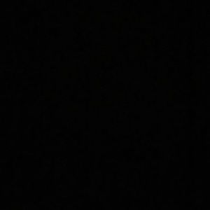 Meet your Posher, Lexi