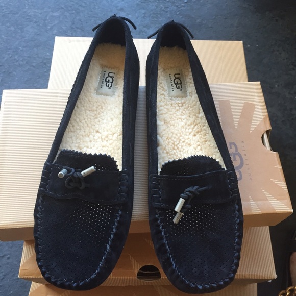 ugg scuffette exotic ugg scuffette exotic