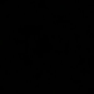 Meet your Posher, Beverly