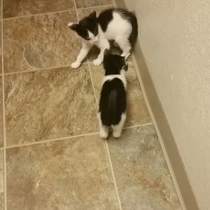 Meet your Posher, Krishell