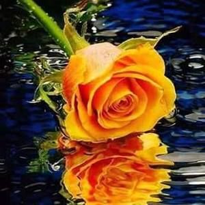 Meet your Posher, Hope