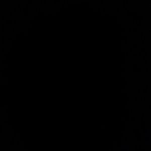 Meet your Posher, Roza