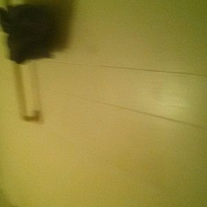 Meet your Posher, Justina