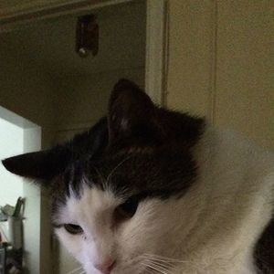 Meet your Posher, Beverly