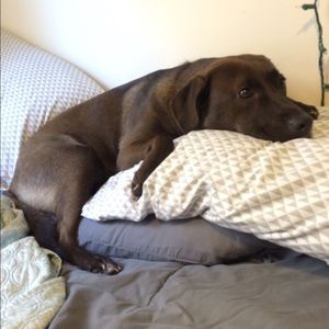 Meet your Posher, Tyler