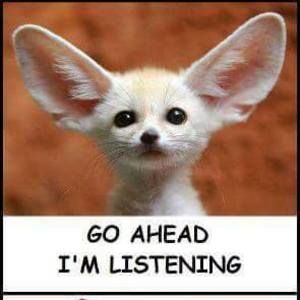 Meet your Posher, Bobby