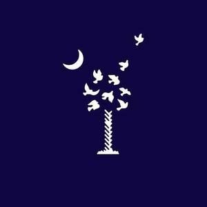 Meet your Posher, Nina