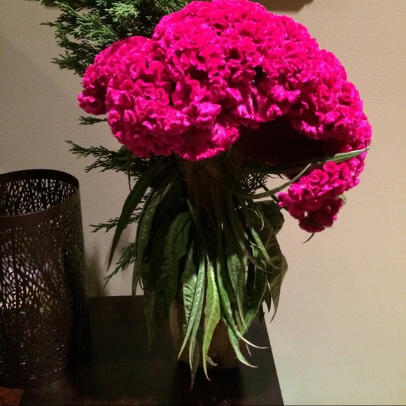 Meet your Posher, Jill