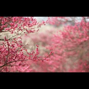 Meet your Posher, Stephy