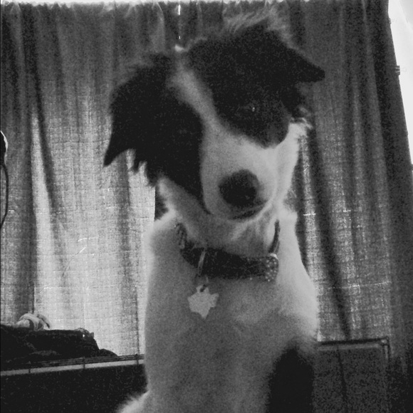 Meet your Posher, Brittany